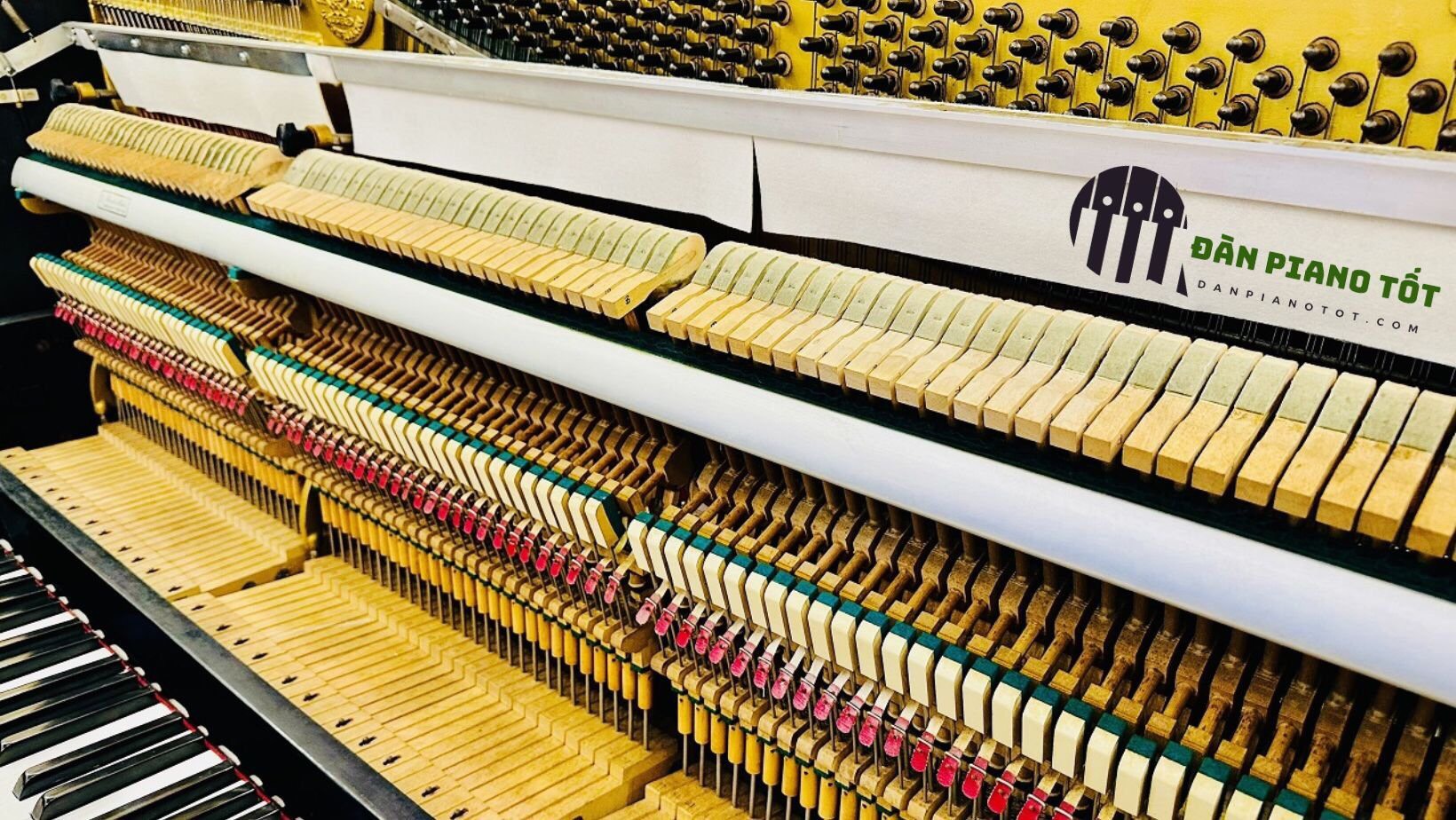 Đàn piano cơ Kawai Ku1 mới, uy tín, chất lượng 8 Kawai Ku1 5