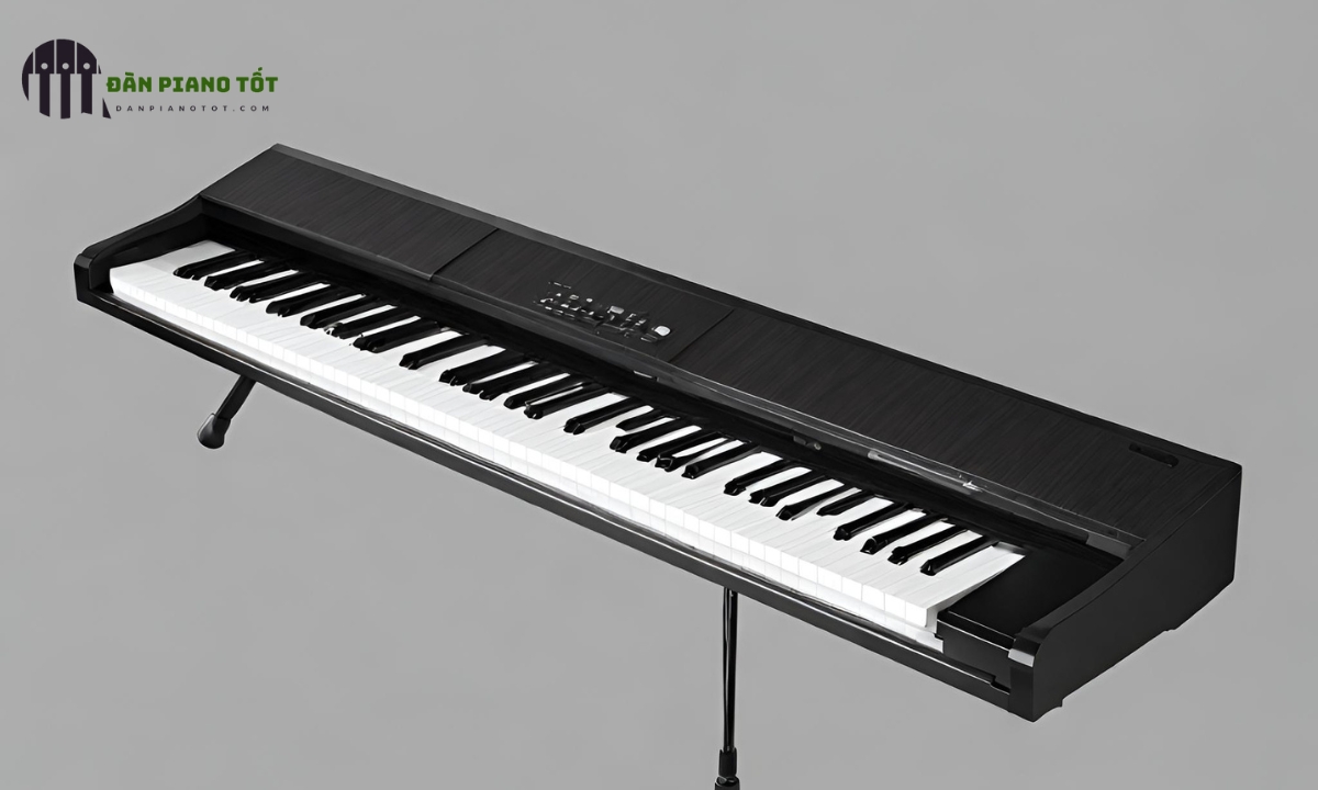Đàn Piano 61 phím là gì? Loại đàn nào phù hợp cho bé? 2 Hướng dẫn phân chia các loại phím piano