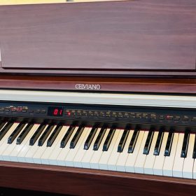 Casio AP500 10