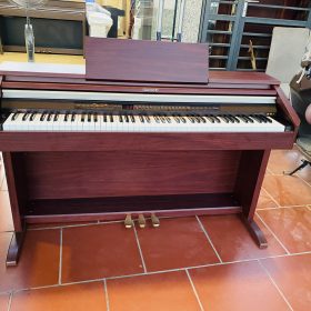 Casio AP500 3