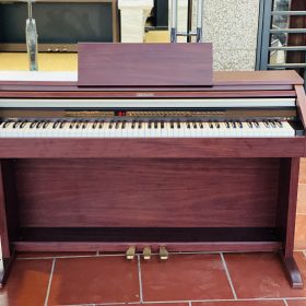 Casio AP500 7