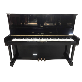 piano cho người mới bắt đầu