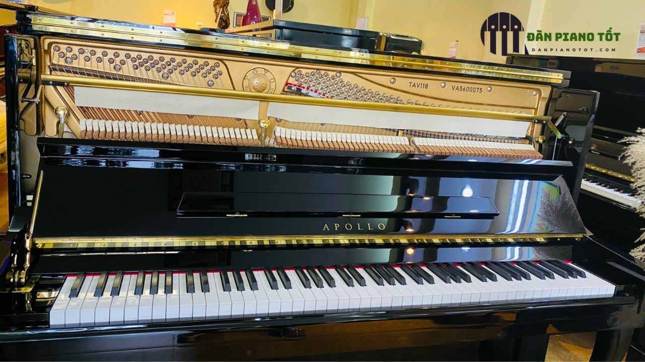 Báo Giá Đàn Piano Cao Cấp Nhận 5 Ưu Đãi Khủng 6 giá đàn Piano cao cấp Apollo TAV118