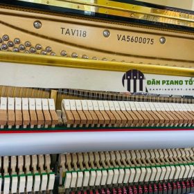Đàn Piano cơ Apollo TAV118 - Hàng mới, Chất lượng cao 4 Apollo TAV118 4