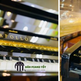 Đàn Piano cơ Apollo TAV118 - Hàng mới, Chất lượng cao 5 Giá đàn piano cao cấp