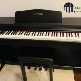 Metzler MC60 1