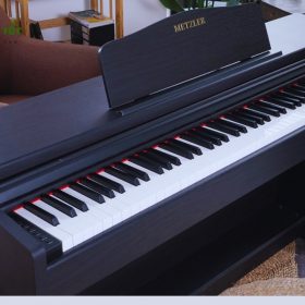 Metzler MC60