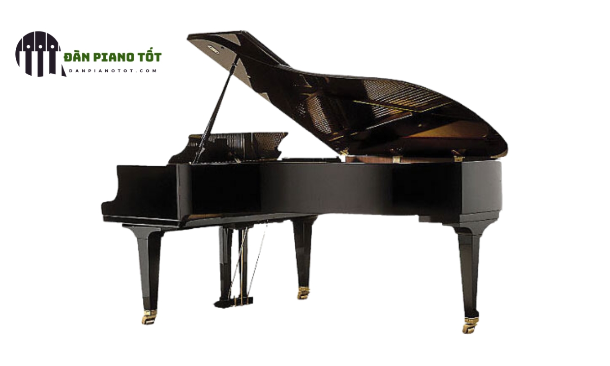 Đàn Grand Piano - Đại dương cầm là gì?