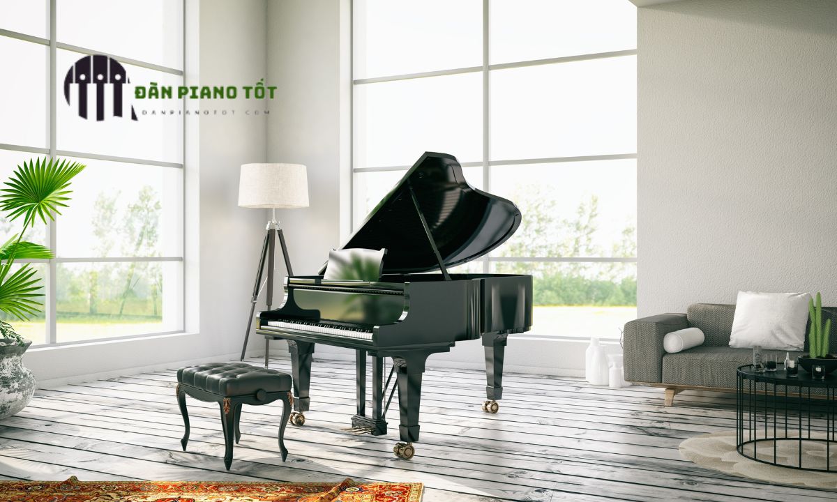 hoc danh dan piano co ban 1