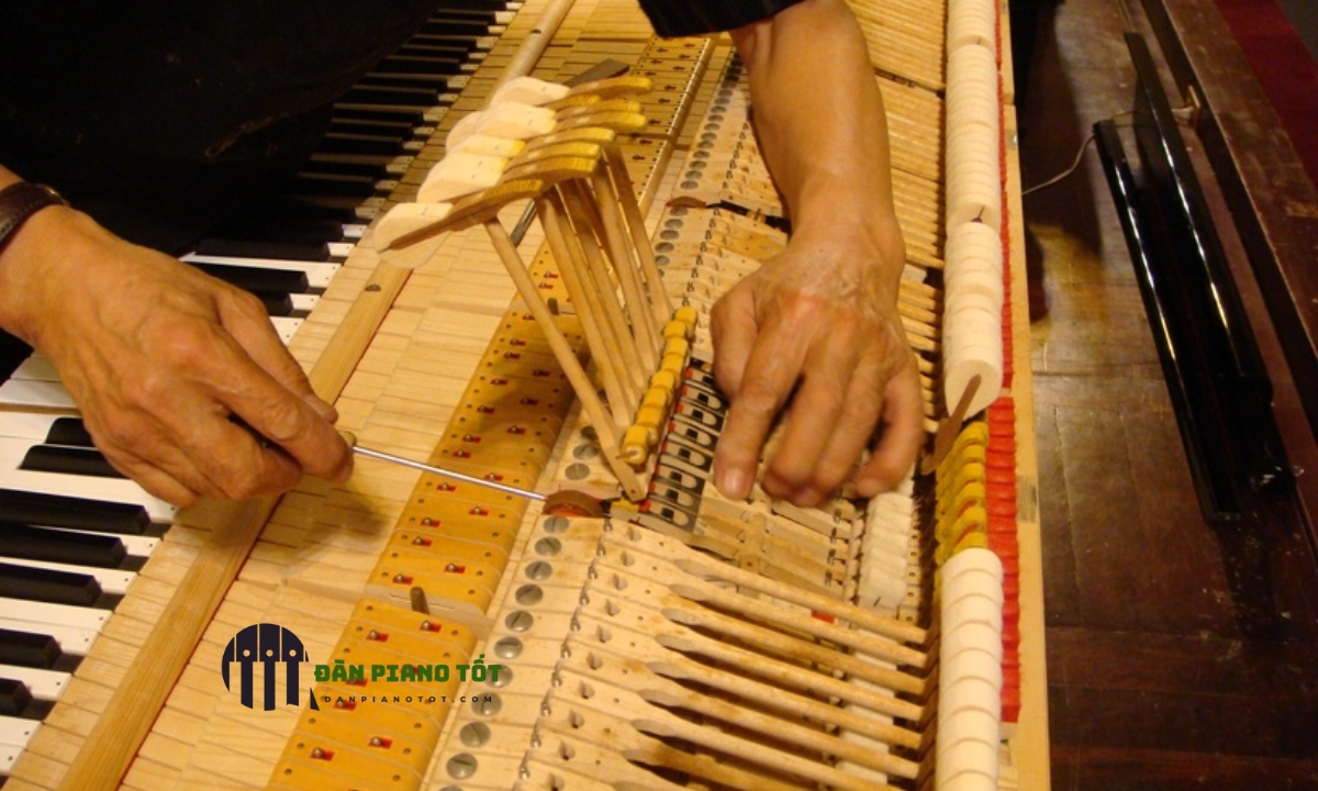 Chỉnh nốt đàn piano Chỉnh nốt đàn piano