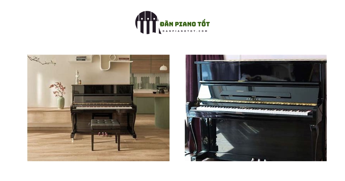 Báo Giá Đàn Piano Cao Cấp Nhận 5 Ưu Đãi Khủng 5 Đàn Piano Apollo TAV118