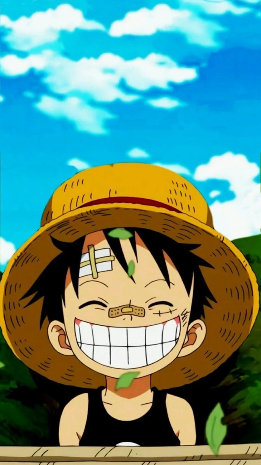 999+ Hình Nền One Piece 3D, 4K Cực Ngầu Tuyển Chọn Cực Đẹp 5 Hình nền One Piece với băng Mũ Rơm tập thể