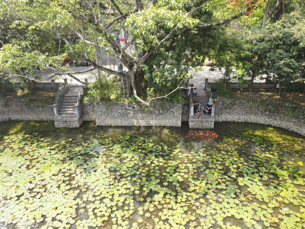 Khu di tích Bà Triệu: Nơi Lịch sử Hào Hùng Về Với Hiện Tại 4 Ao sen thanh bình phía trước Khu di tích đền Bà Triệu, tạo không gian thư giãn cho du khách.