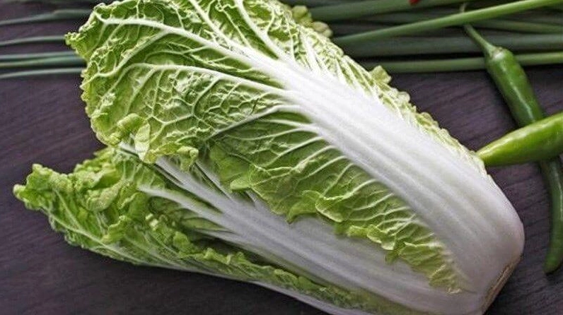 Cải thảo trong một đĩa salad tươi ngon