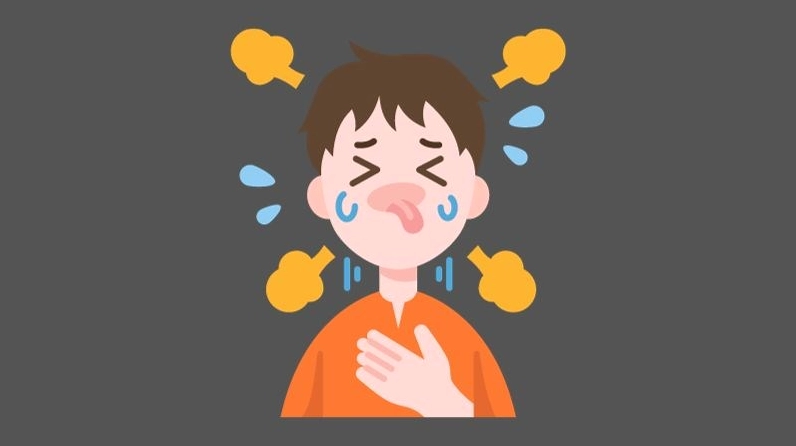 Cận cảnh lá tía tô với mặt trên màu xanh và mặt dưới màu tím đặc trưng