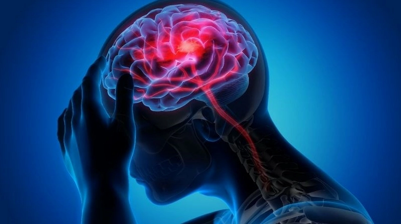 Hình ảnh bộ não khỏe mạnh