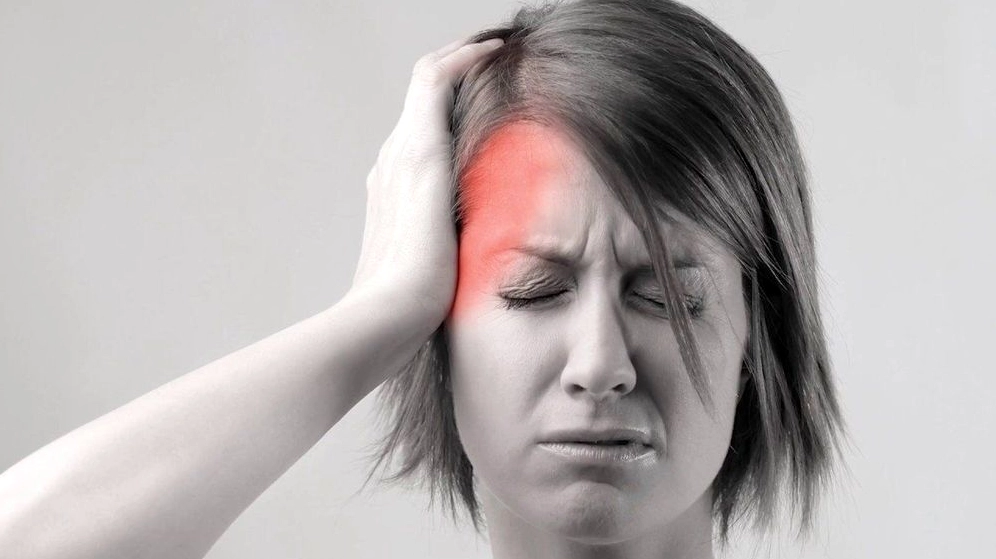 Hình ảnh lá húng quế tươi tượng trưng cho công dụng giảm nhức đầu