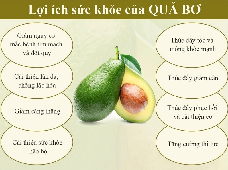 Một số tác dụng chính của quả bơ đối với sức khỏe