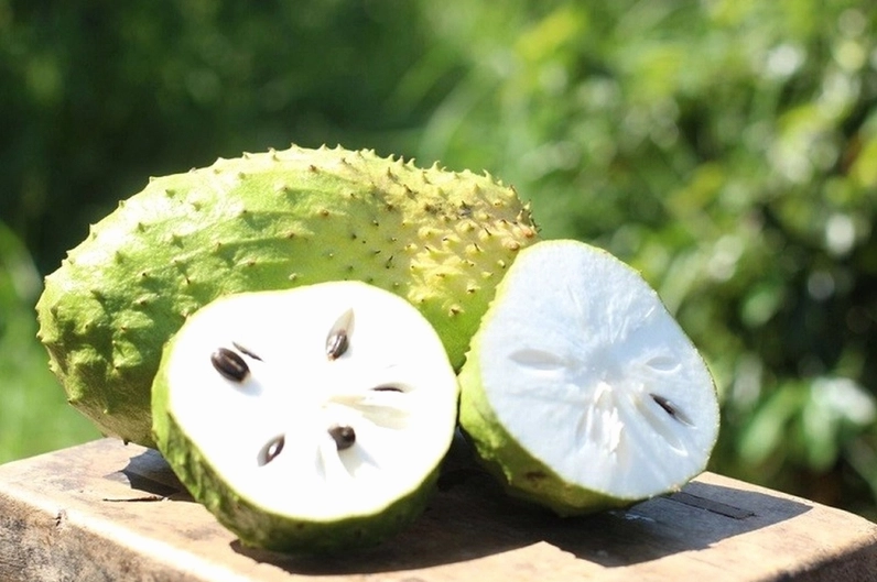Những công dụng sức khoẻ tuyệt vời của quả mãng cầu gai