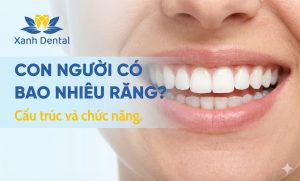 Bạn đang tìm địa chỉ niềng răng hô Nhổn uy tín? Khám phá Nha Khoa Xanh Dental CS2 (93 Phố Nhổn) - khắc phục răng hô nhẹ nhàng, bác sĩ giỏi, trả góp 0%.